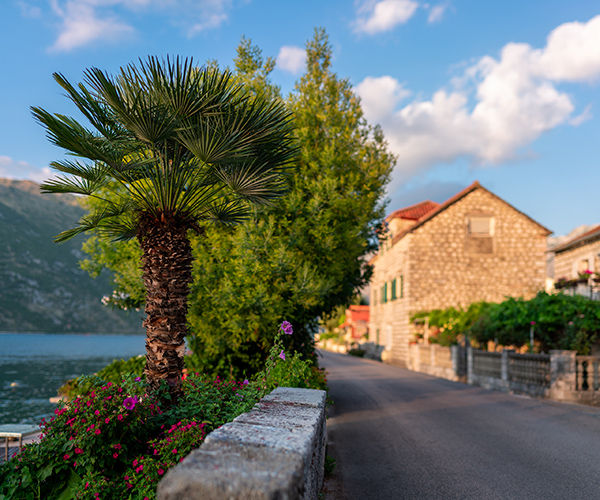 Image rectangle 600 x