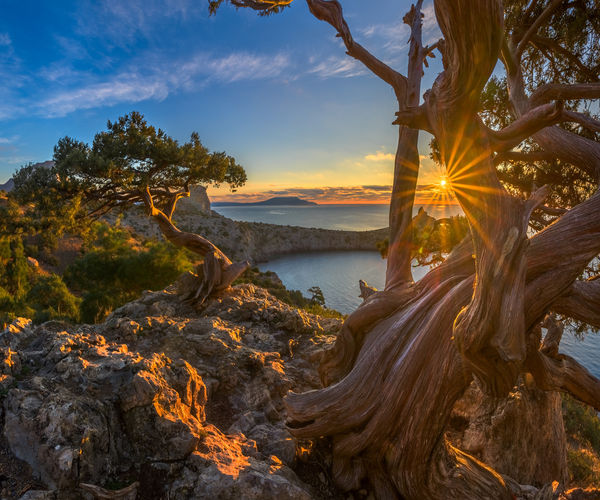 Image rectangle 600 x