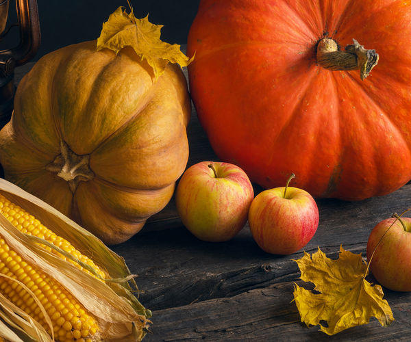 Image rectangle 600 x