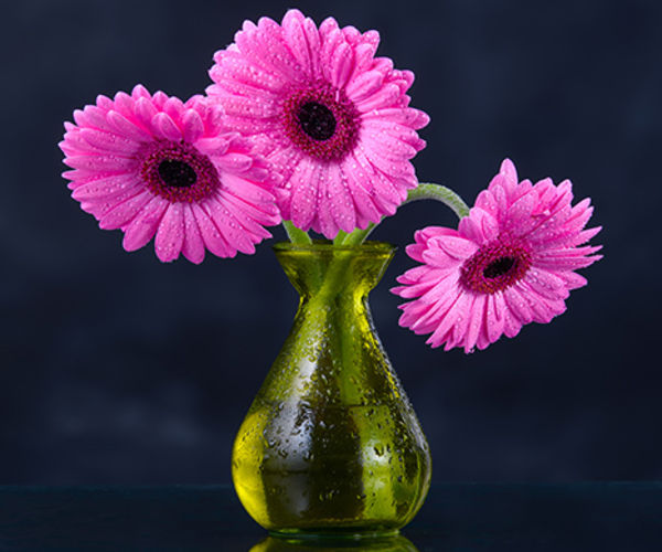 Image rectangle 600 x