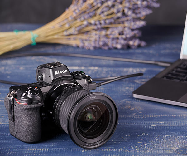 Image rectangle 600 x