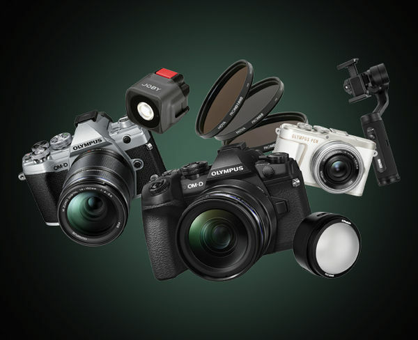 Image rectangle 600 x