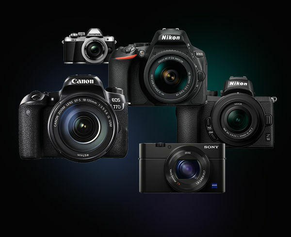 Image rectangle 600 x