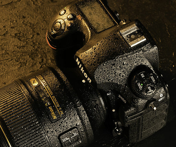 Image rectangle 600 x