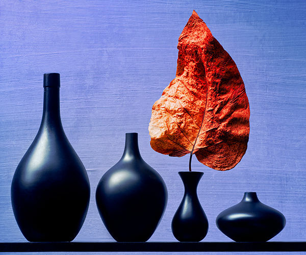 Image rectangle 600 x