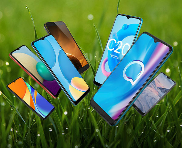 Image rectangle 600 x