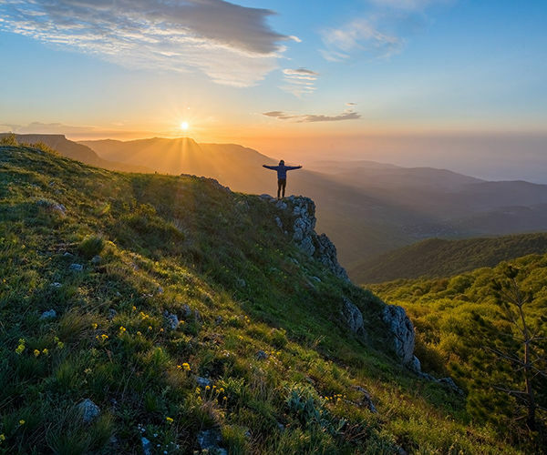 Image rectangle 600 x