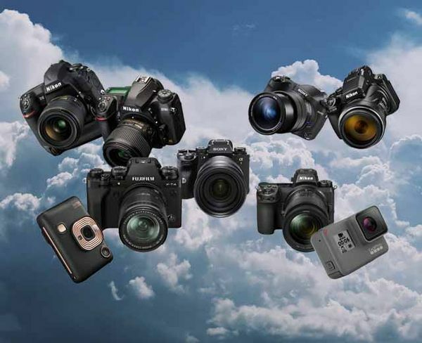 Image rectangle 600 x