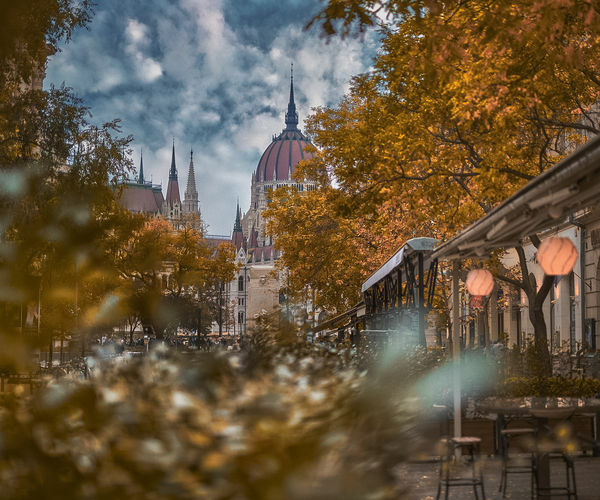 Image rectangle 600 x