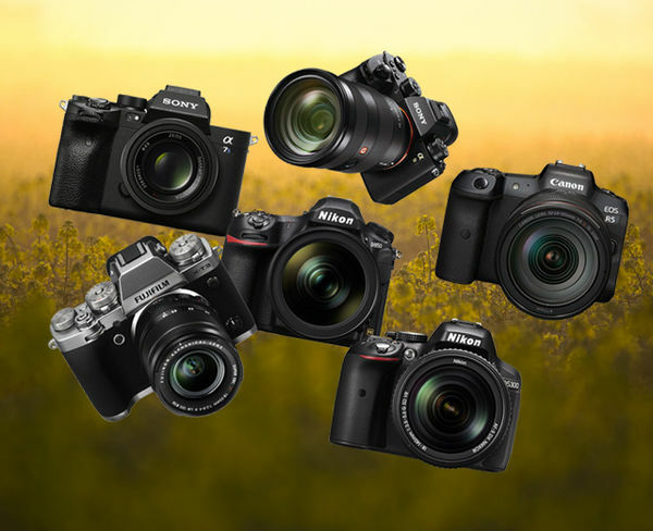 Image rectangle 600 x