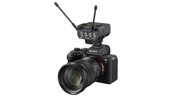 Image rectangle 600 x