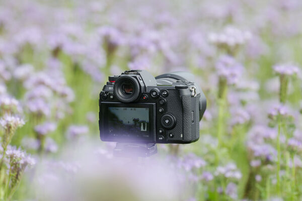 Image rectangle 600 x