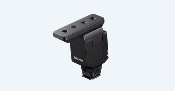 Image rectangle 600 x