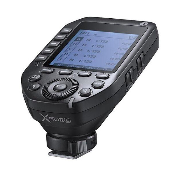 Image rectangle 600 x