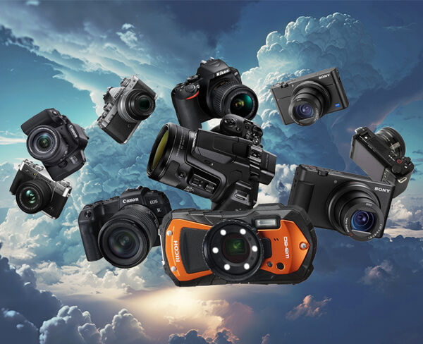 Image rectangle 600 x