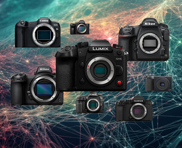 Image rectangle 600 x