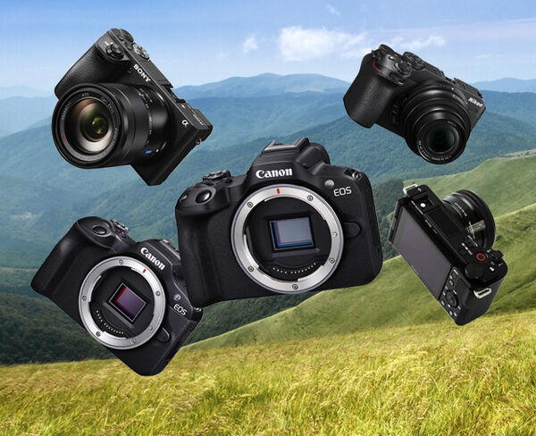 Image rectangle 600 x