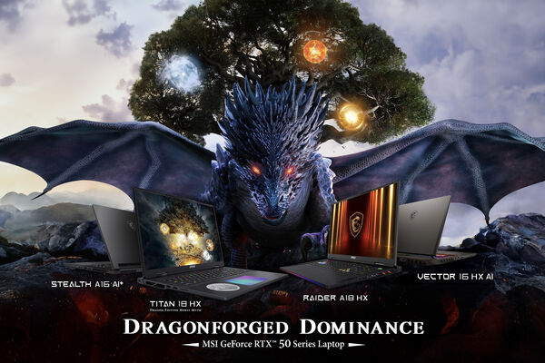 Image rectangle 600 x