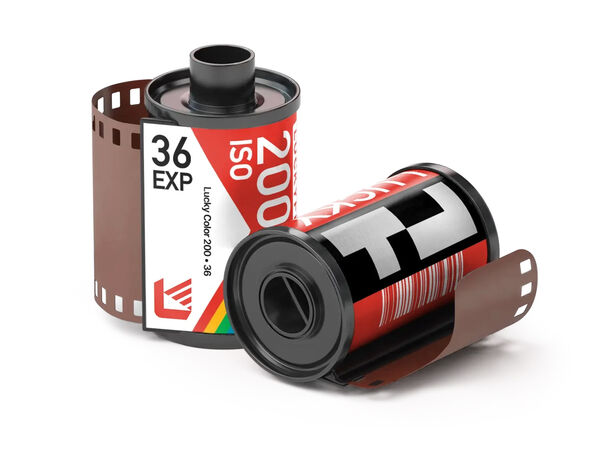 Image rectangle 600 x