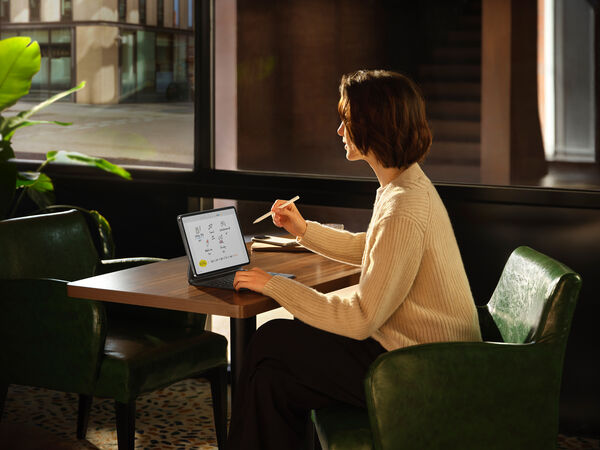 Image rectangle 600 x