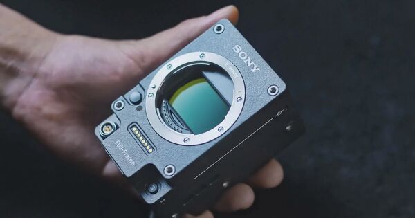 Image rectangle 600 x
