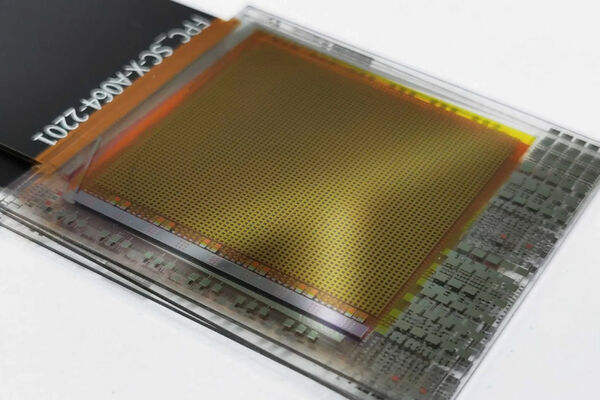 Image rectangle 600 x