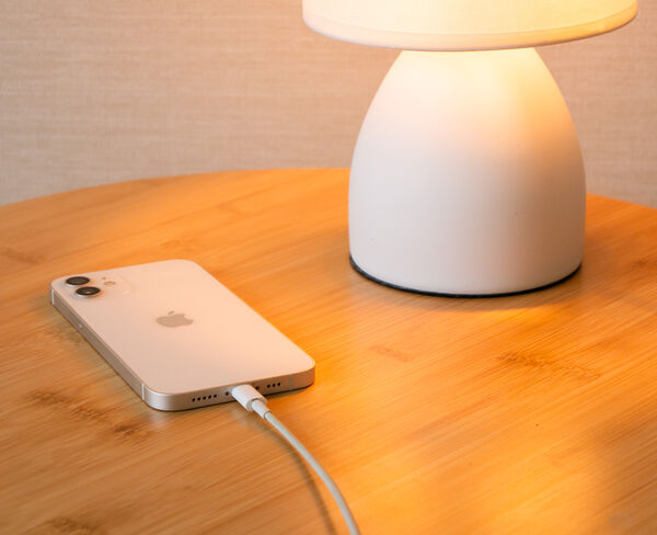 Image rectangle 600 x