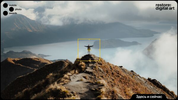 Image rectangle 600 x