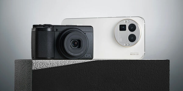 Image rectangle 600 x