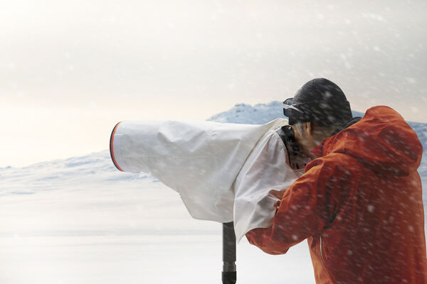 Image rectangle 600 x