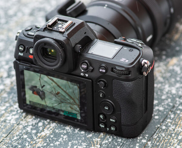 Image rectangle 600 x