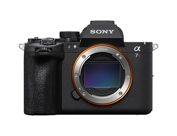 Image rectangle 600 x