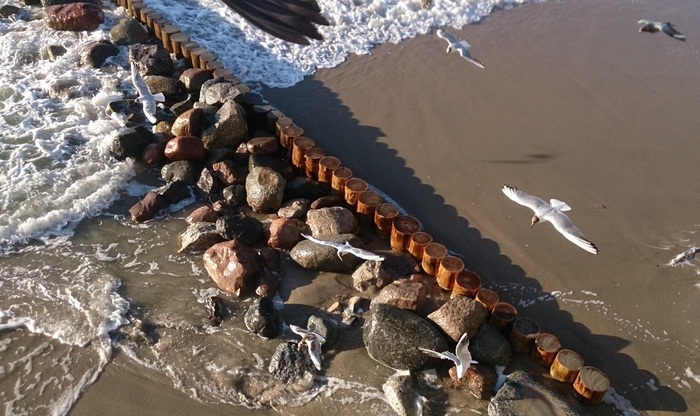 Елена Сушкова, «Над Балтикой»