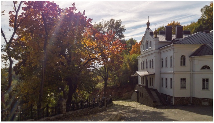 Елена Сушкова, «Клёны в городе лип»