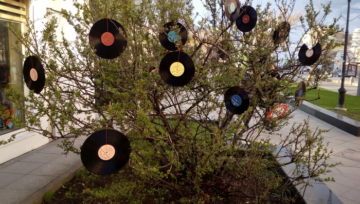 Екатерина Жура, «Плодово-ягодно-музыкальное»