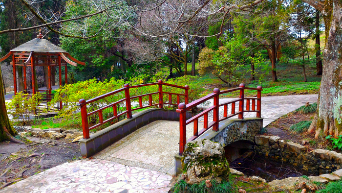 Юлия Ковальчук, «Через мостик»