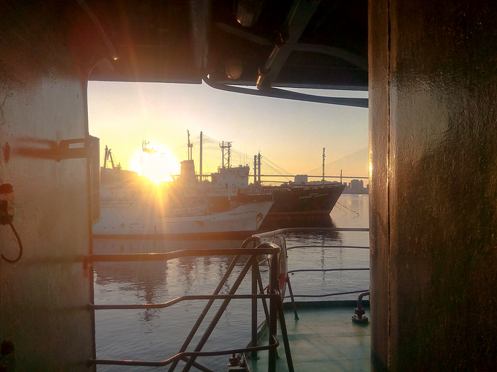 Владимир, «В бухте»