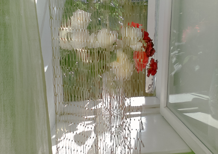 Николай  Вишневский, «Окно мамы Светланы»