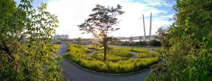 Владимир, «Дальневосточная панорама»