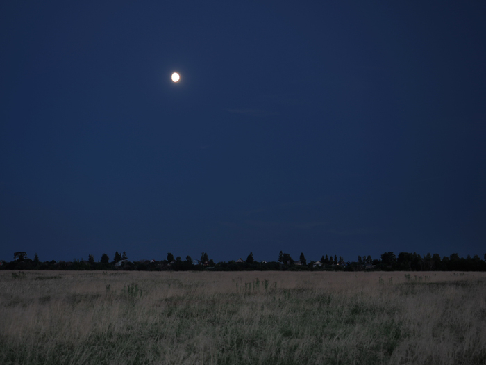 Лунная ночь