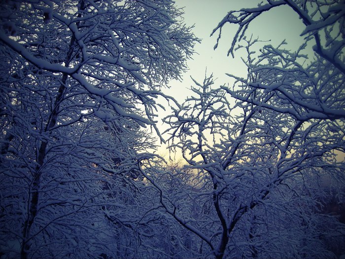 Екатерина Рачунь, «Сказка»