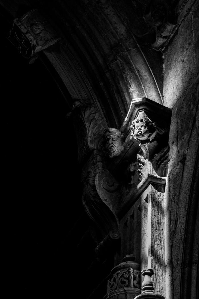 Анастасия Мосунова, «Избранный»