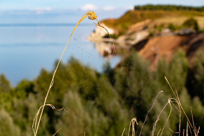 Марат Ахмадеев, «Через невесомую сеть»
