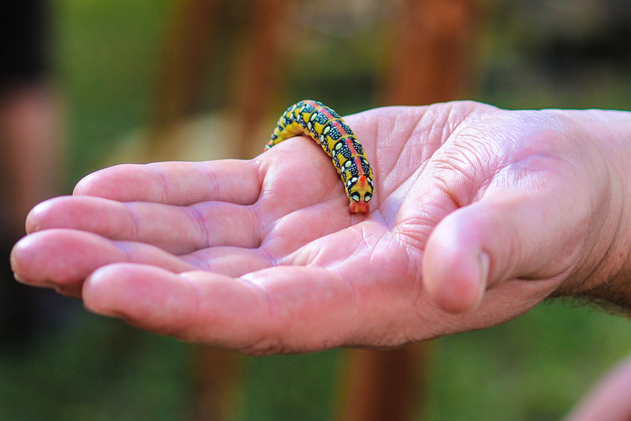Сергей Немцев, «Классно выглядишь»