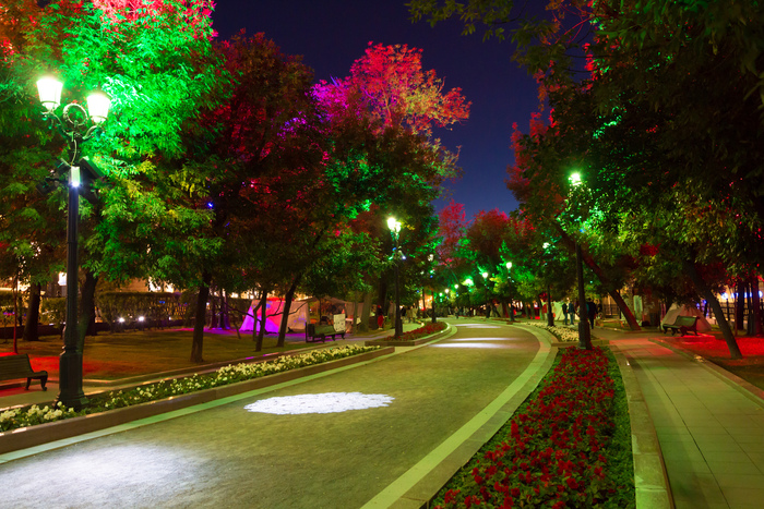 Сергей Немцев, «Великолепие вечерних красок»