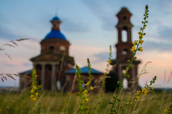 Сергей Немцев, «Травинка»