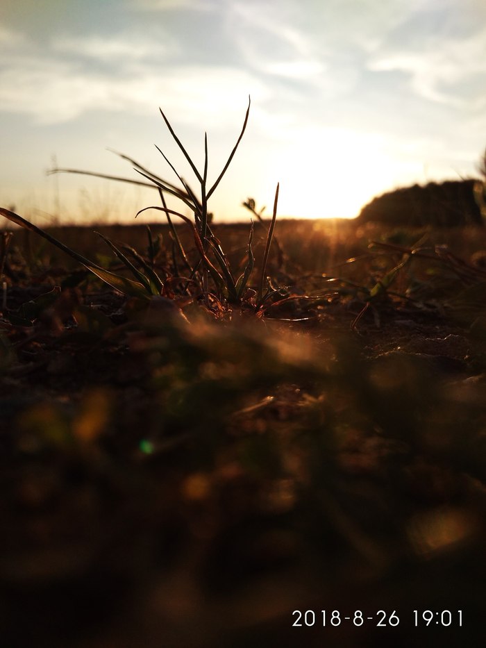 Людмила  Разумовская, «Завтра будет новый день»
