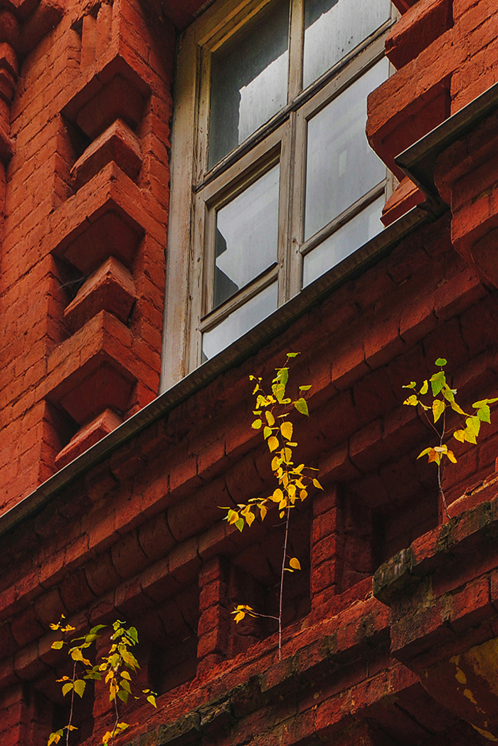 Марина Короткова, «Утверждение жизни»