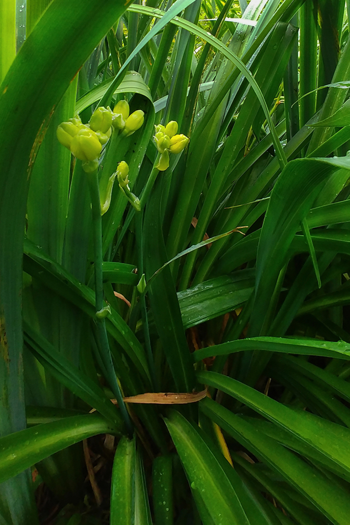 Марина Короткова, «Простота Красоты»