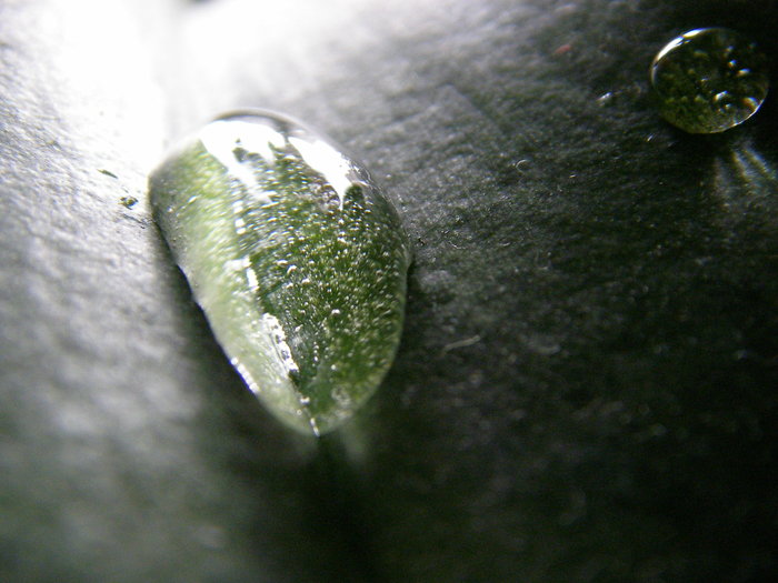 Наталья, «Вода»